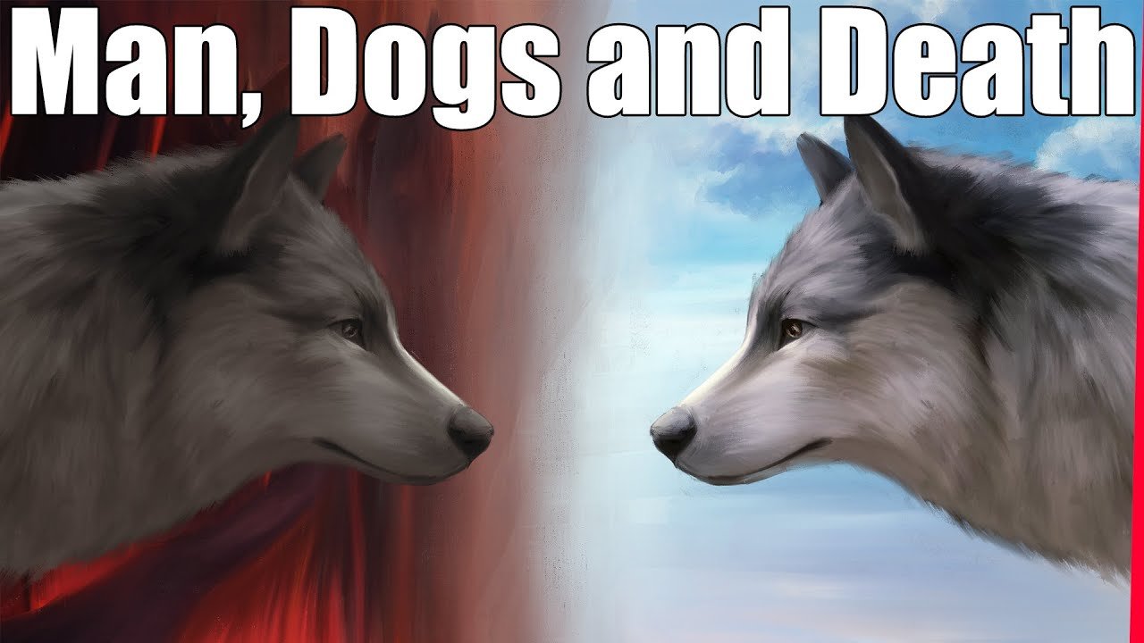 Dogs and Death