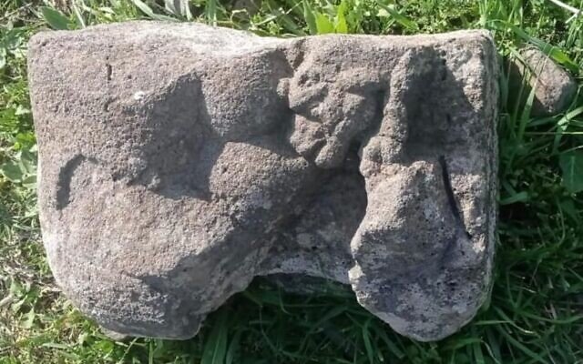 The basalt carving of a lioness suckling her young discovered at Ein Nashut by students on a field trip on March 1, 2023, in ancient Israel. (courtesy Mordechai Aviam)